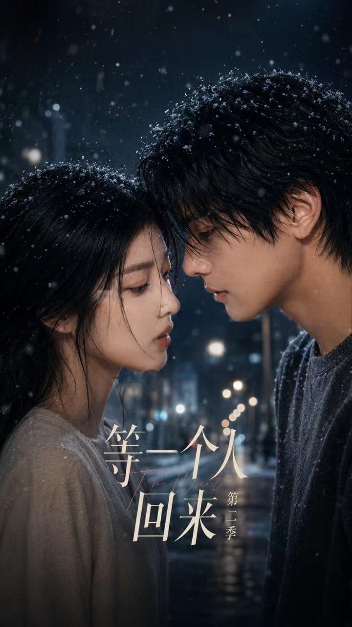 等一个人回来 第二季封面