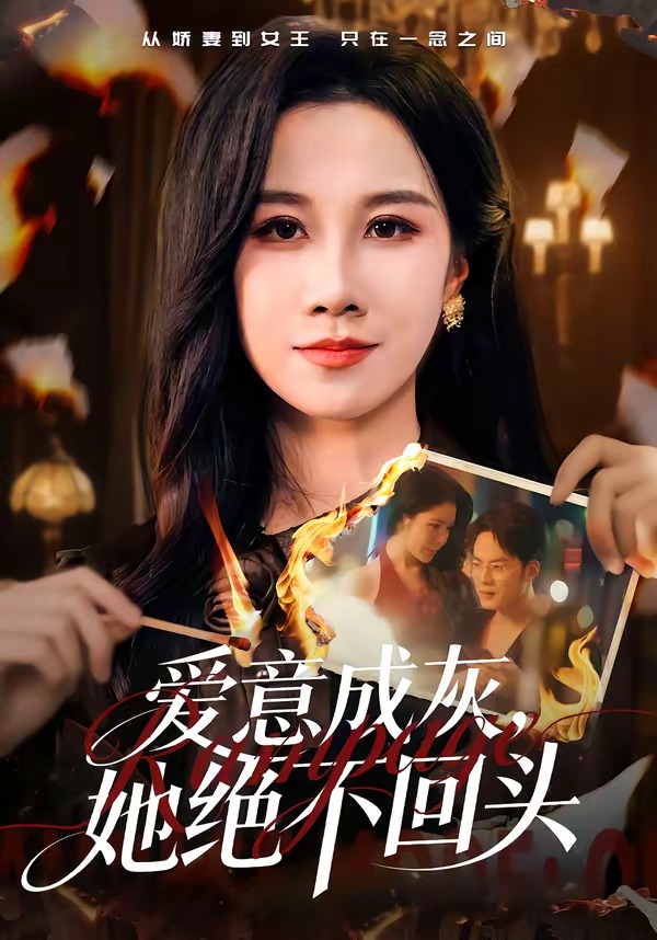 爱意成灰她绝不回头封面