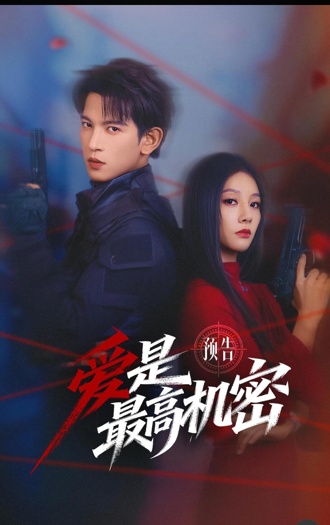 爱是最高机密封面