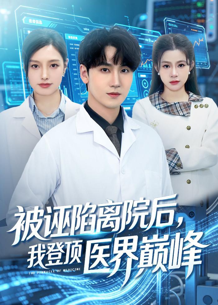 被诬陷离院后我登顶医界巅峰封面