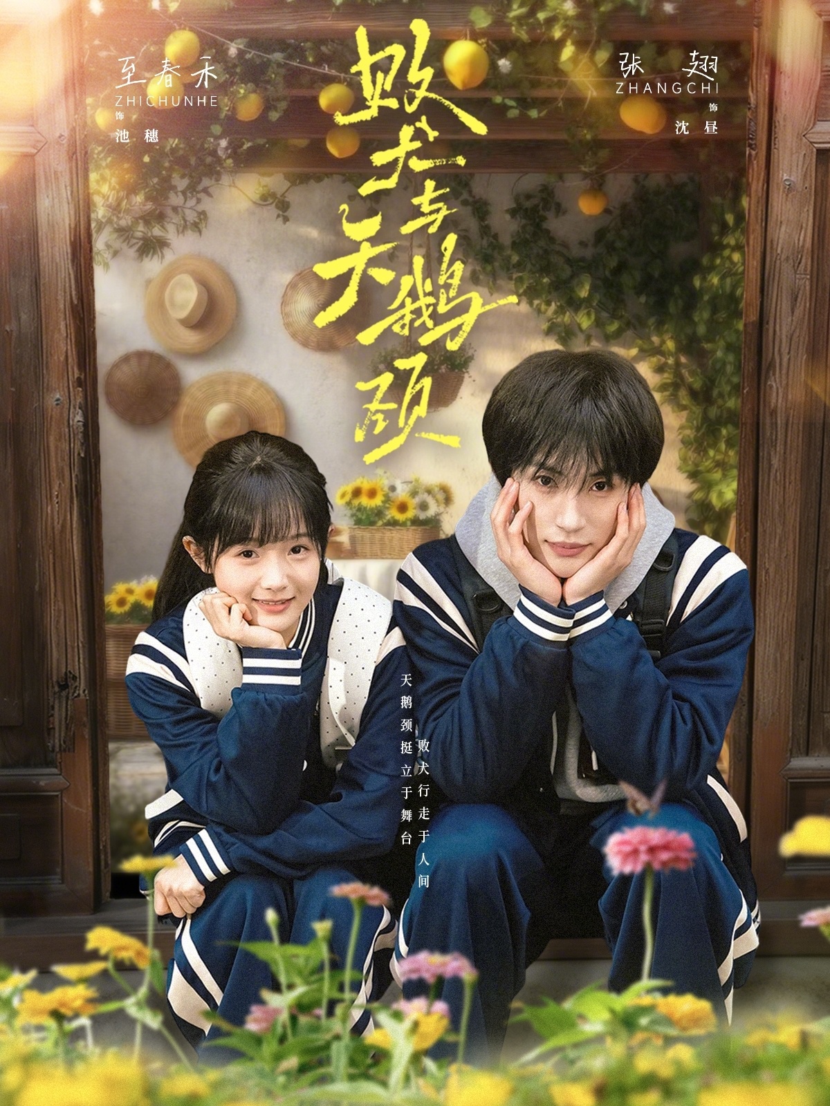 败犬与天鹅颈封面