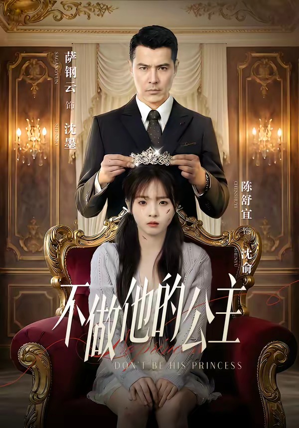 不做他的公主封面