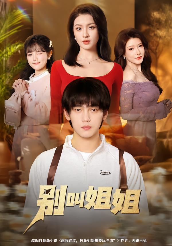 别叫姐姐封面