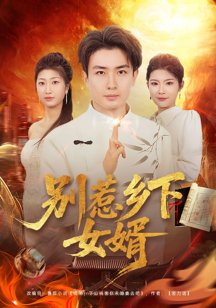 别惹乡下女婿封面