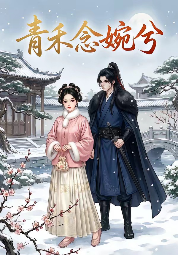青禾念婉兮封面
