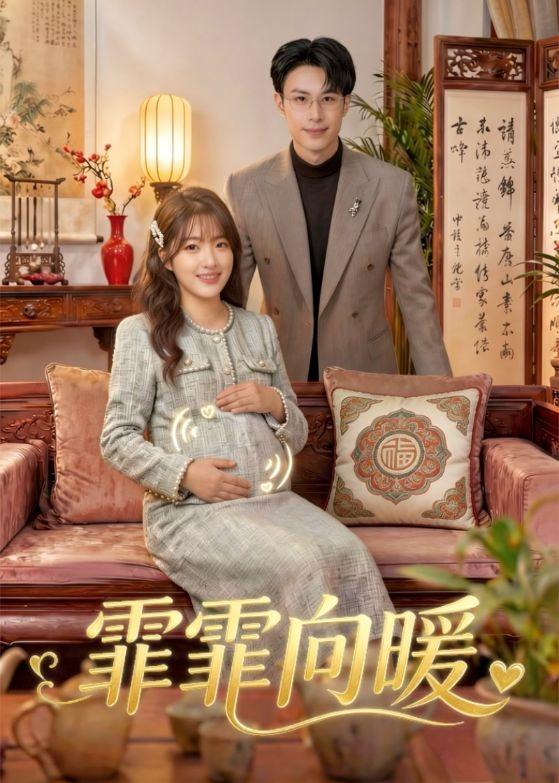 霏霏向暖封面