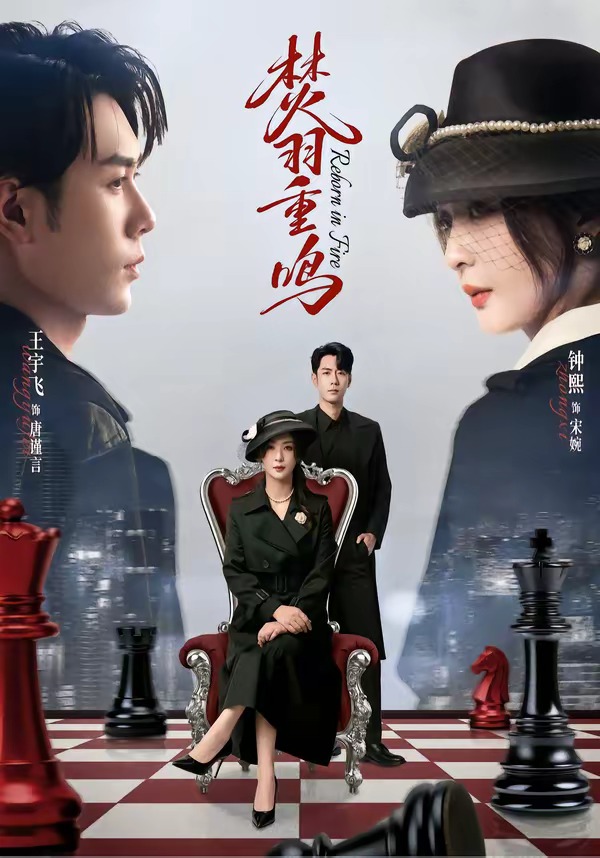 焚羽重鸣封面
