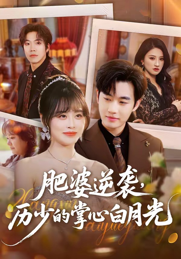 肥婆逆袭，历少的掌心白月光封面
