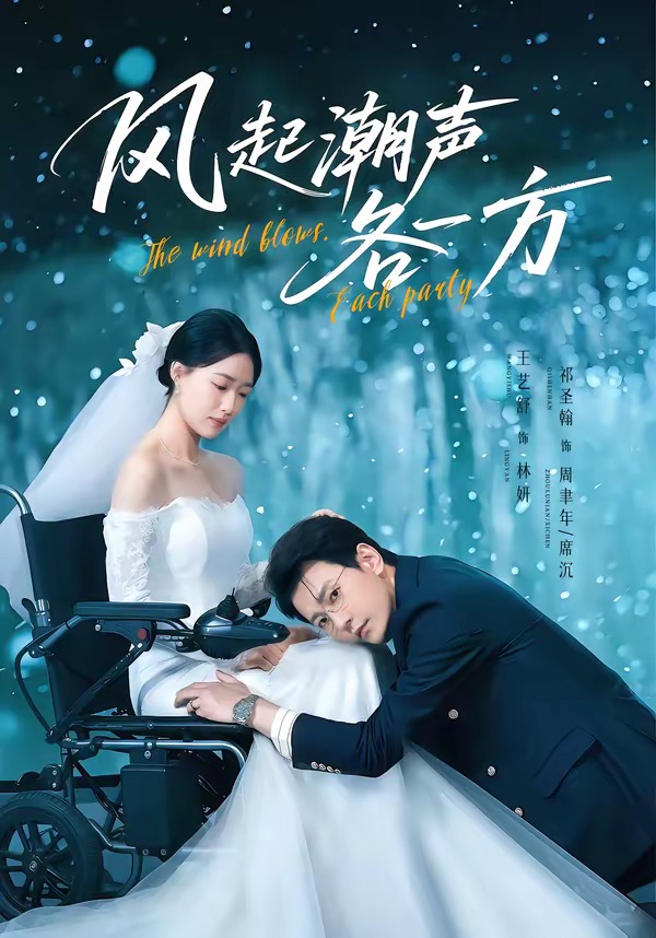 风起潮声各一方封面
