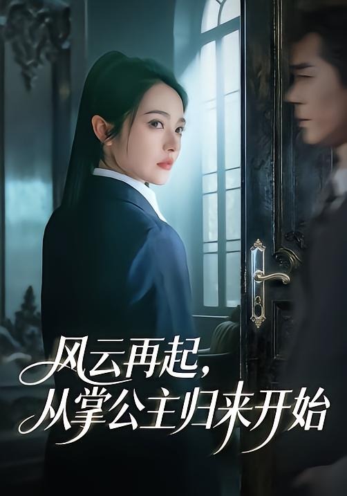 风云再起，从掌公主归来开始封面