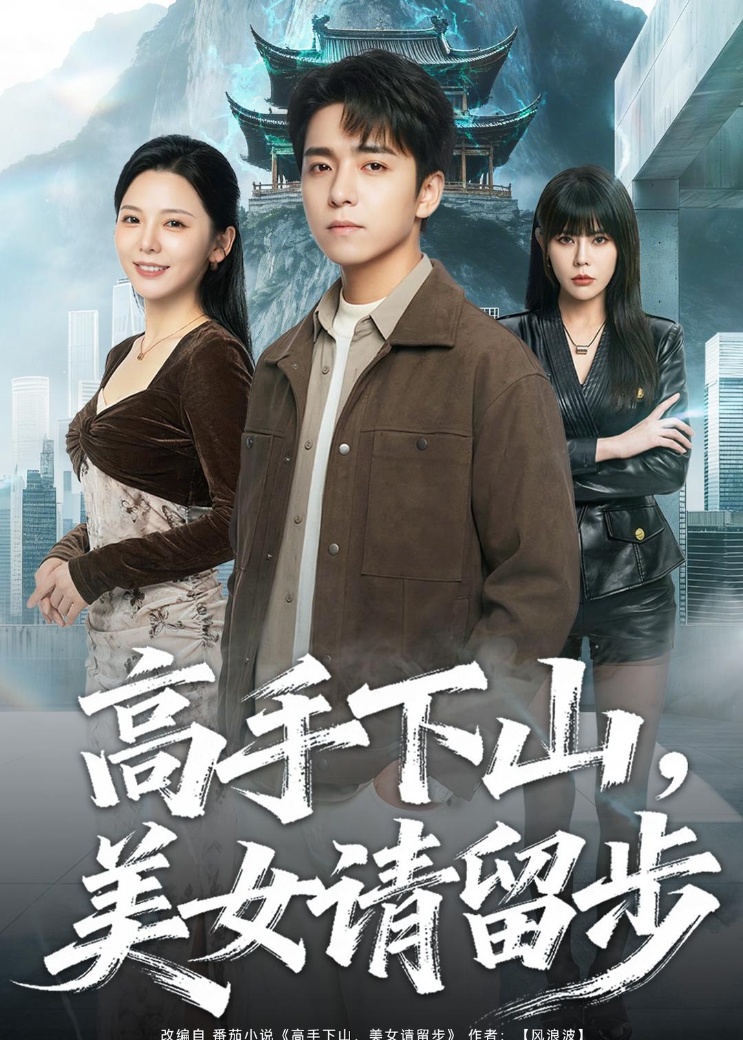 高手下山，mei女请留步封面