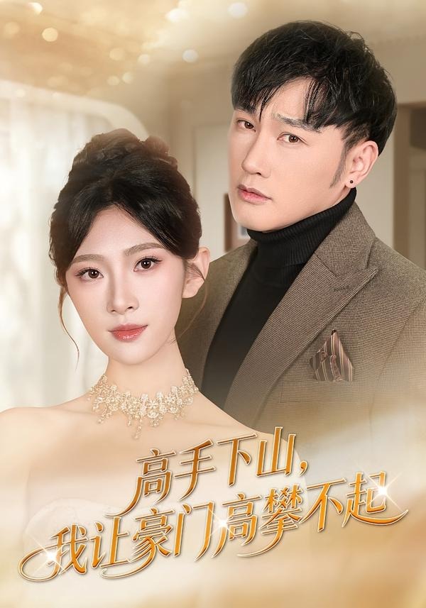 高手下山，我让豪门高攀不起封面