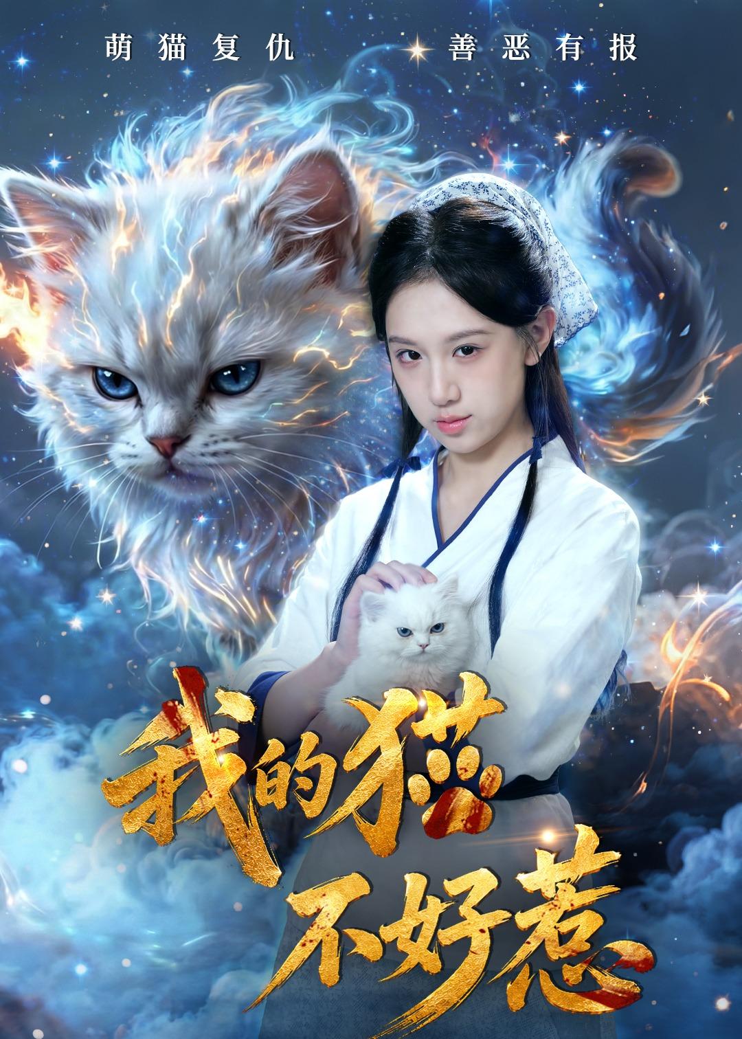 我的猫不好惹 · 第19集