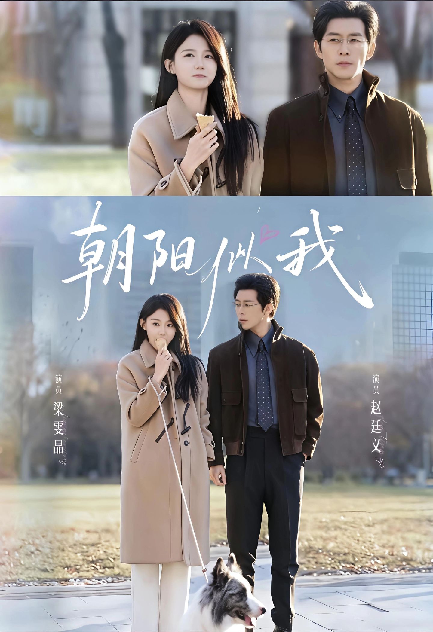 朝阳似我封面