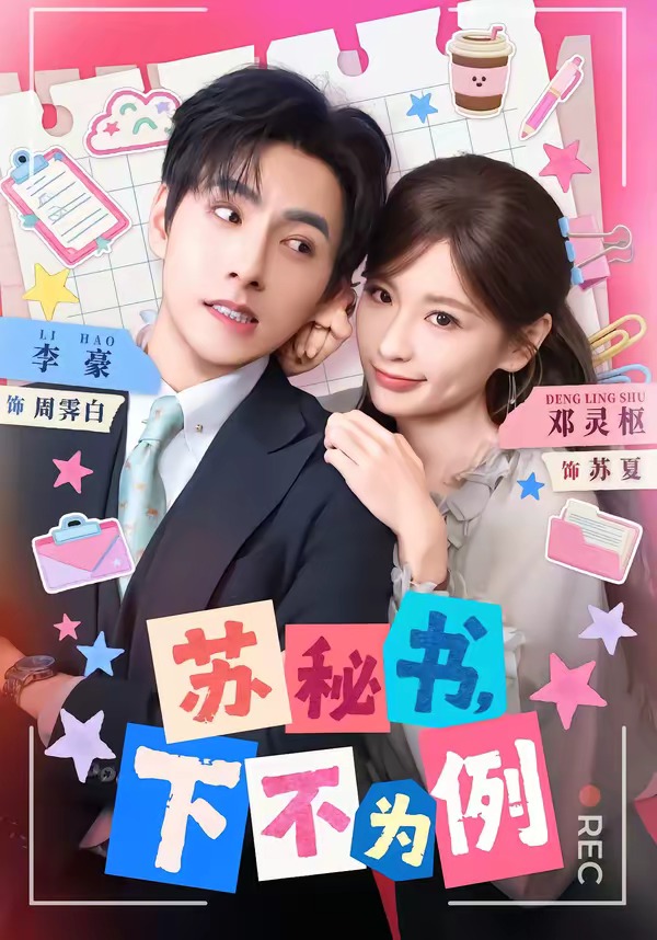 苏秘书，下不为例封面