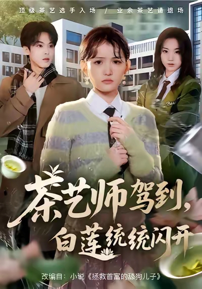 茶艺师驾到白莲统统闪开封面