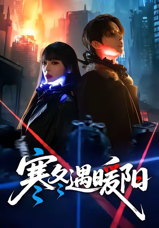 寒冬遇暖阳封面