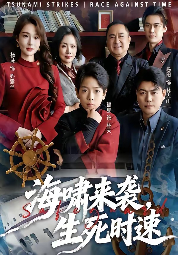 海啸来袭，生死时速封面