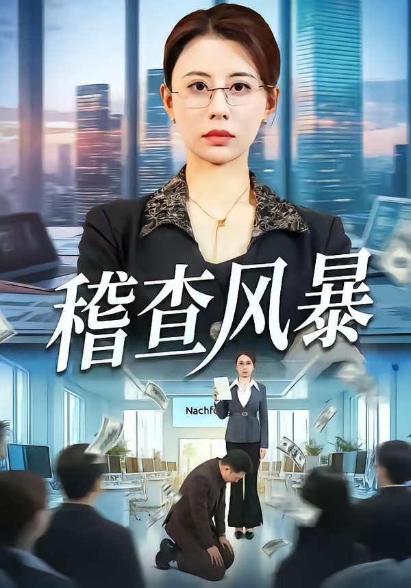 稽查风暴封面