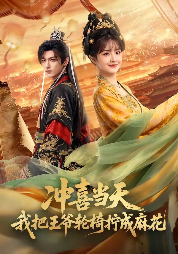 冲喜当天我把王爷轮椅拧成麻花封面