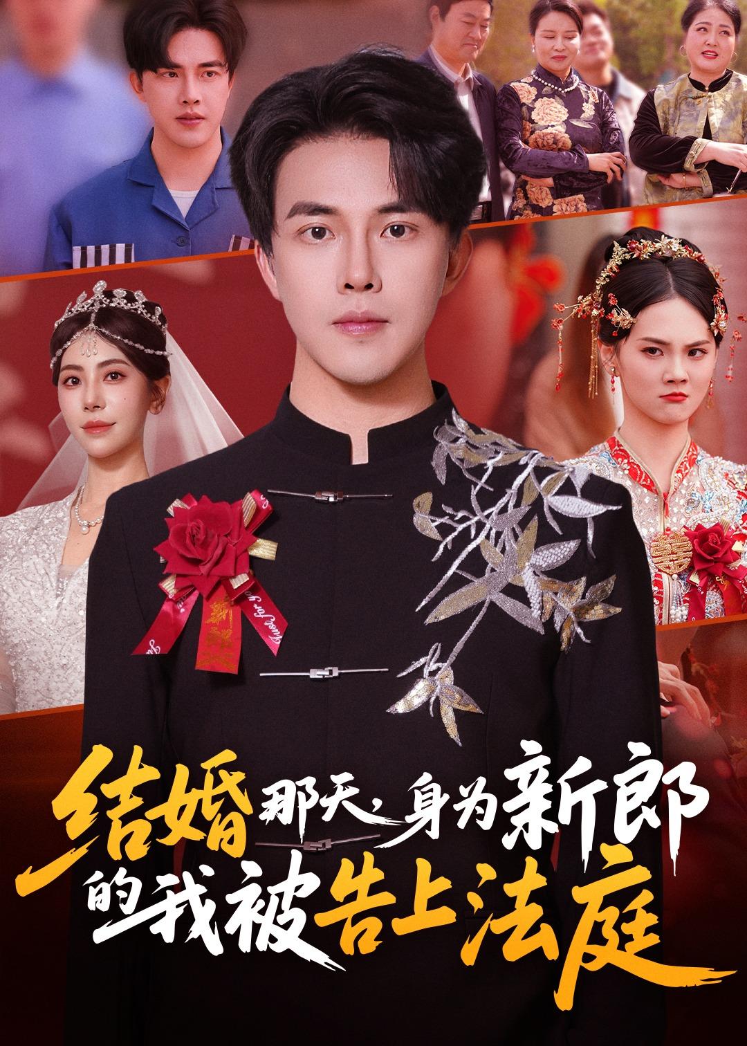 结婚那天，身为新郎的我被告上法庭封面