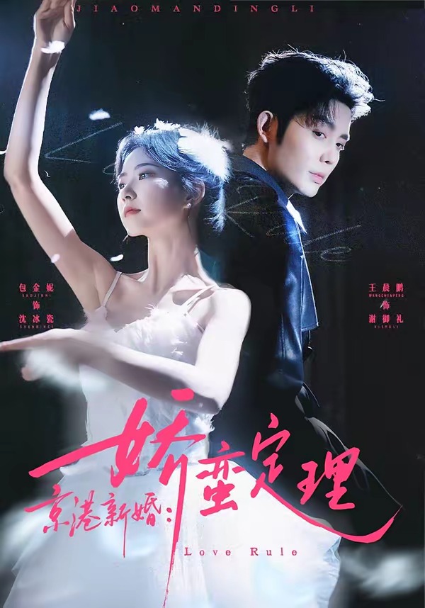 京港新婚：娇蛮定理封面