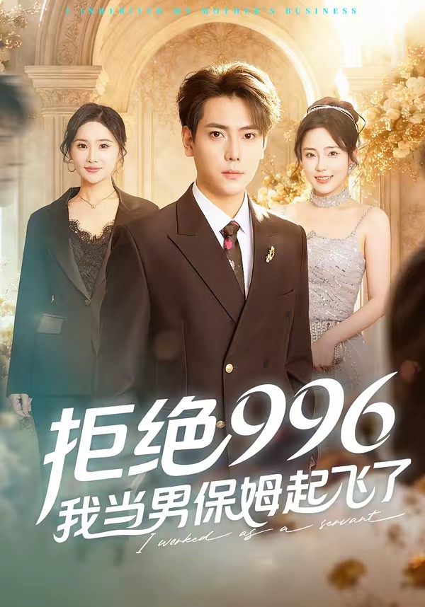 拒绝996，我当男保姆起飞了封面