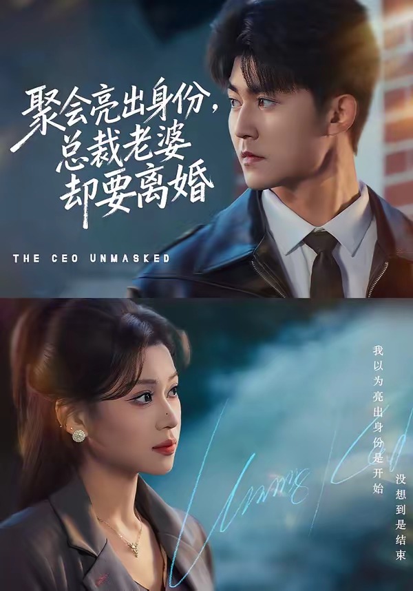 聚会亮出身份，总裁老婆却要离婚封面