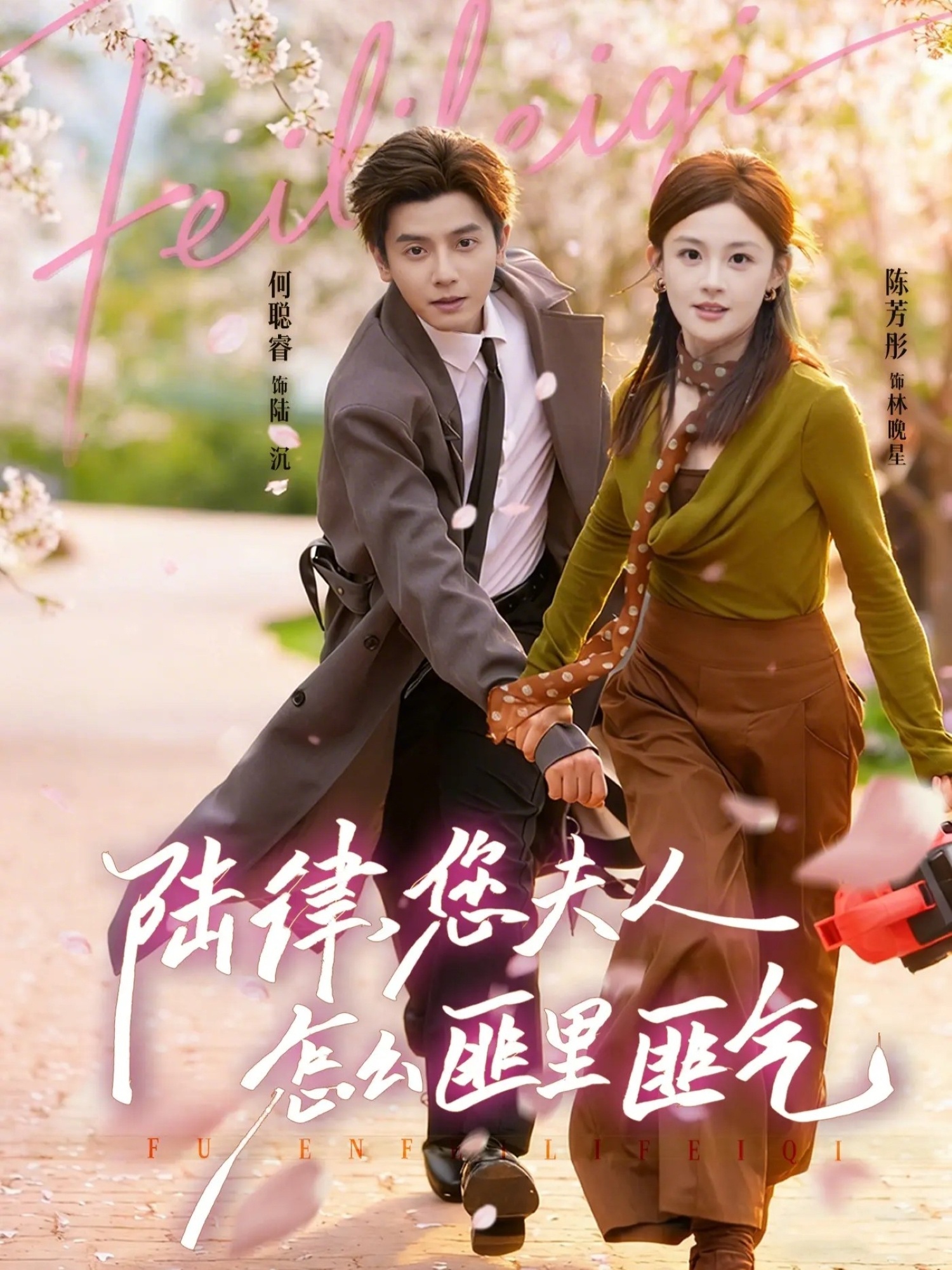 陆律，您夫人怎么匪里匪气封面