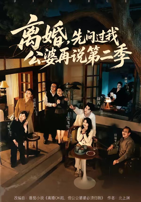 离婚，先问过我公婆再说第二季封面
