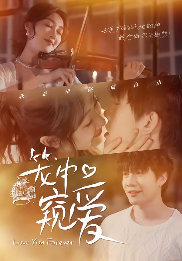 笼中窥爱封面