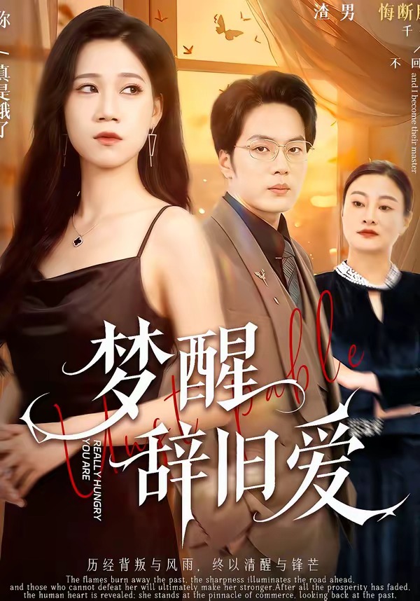 梦醒辞旧爱封面