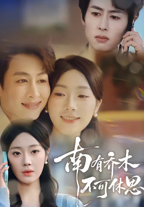 南有乔木，不可休思封面