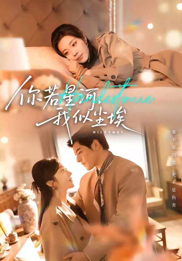 你若星河，我似尘埃封面