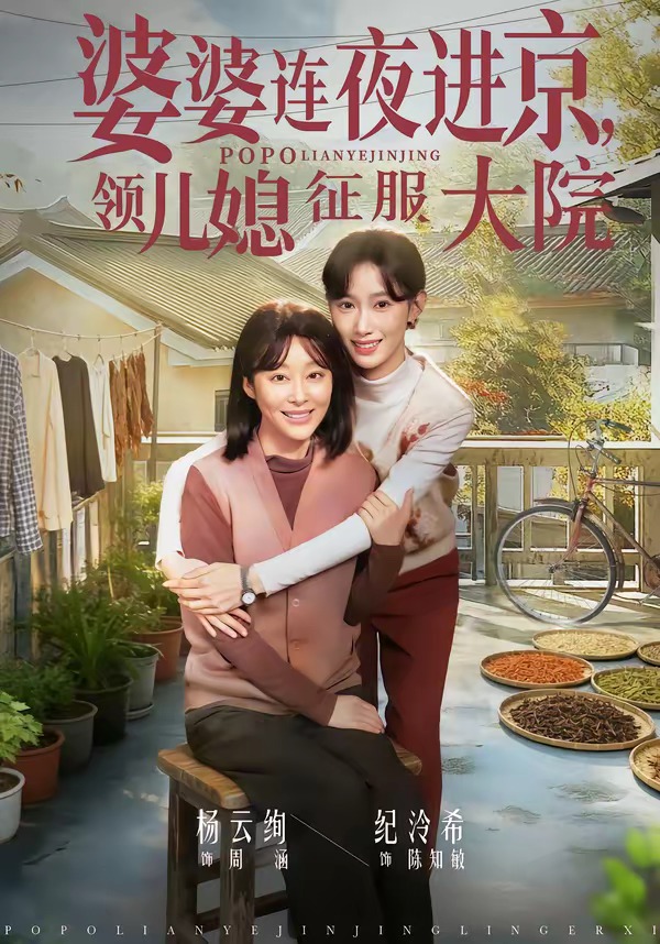 婆婆连夜进京，领儿媳征服大院封面