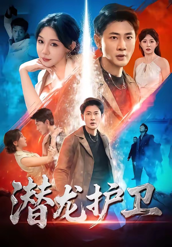 潜龙护卫封面