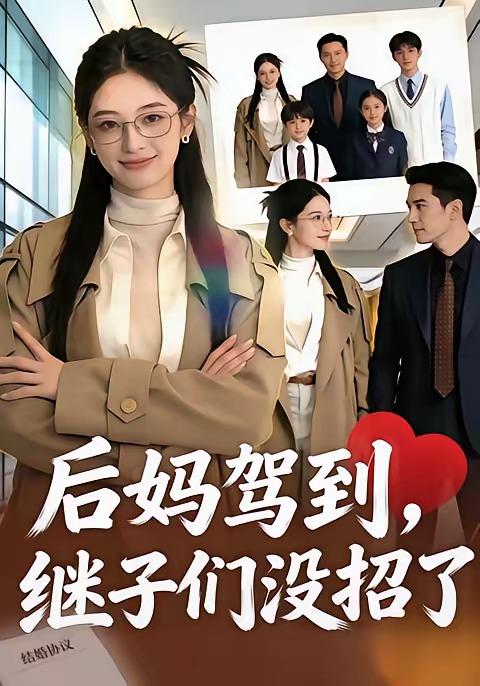 后妈驾到，继子们没招了封面
