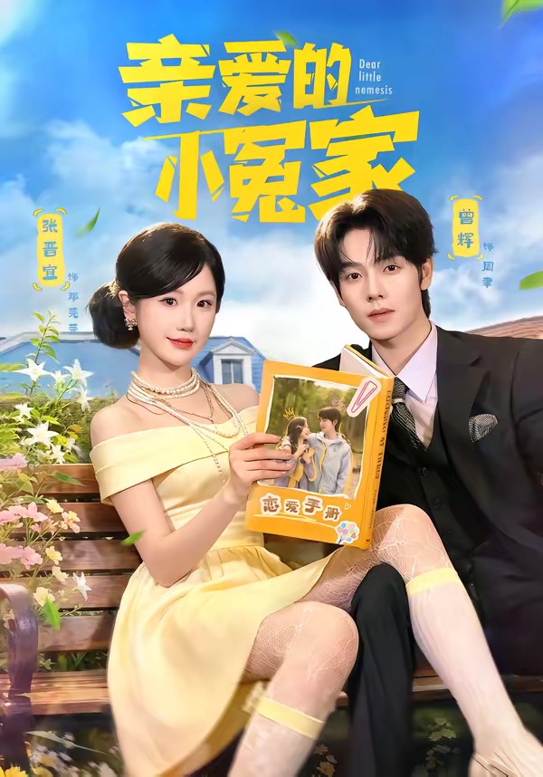 亲爱的小冤家封面