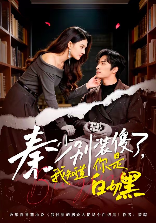 秦少别装傻了，我知道你是白切黑封面