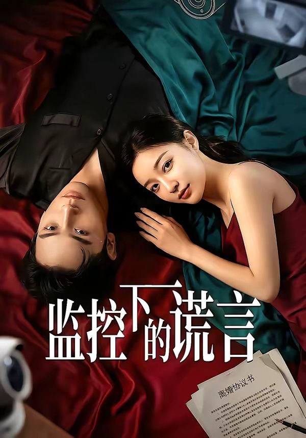 监控下的谎言（50集）封面