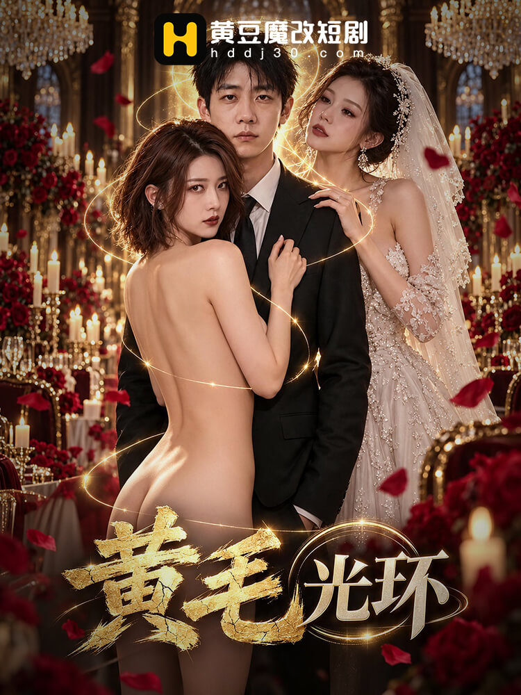 黄毛光环封面